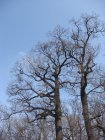 124-DSC05639.JPG.small.jpeg