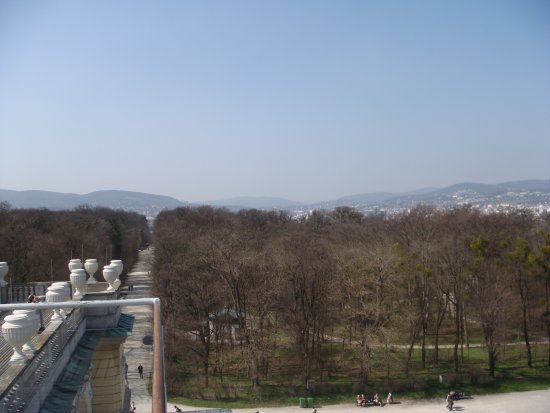 131-DSC05646.JPG.medium.jpeg