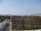 131-DSC05646.JPG.small.jpeg
