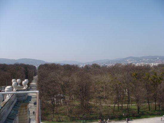 132-DSC05647.JPG.medium.jpeg