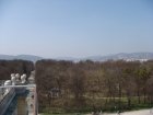 132-DSC05647.JPG.small.jpeg