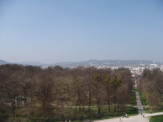 133-DSC05648.JPG.medium.jpeg