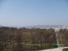 133-DSC05648.JPG.small.jpeg