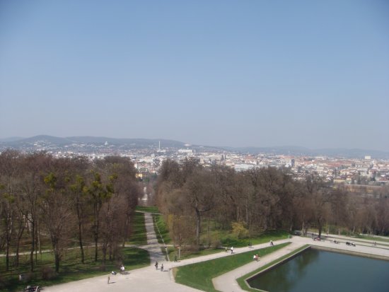 135-DSC05650.JPG.medium.jpeg