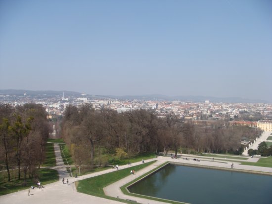136-DSC05651.JPG.medium.jpeg