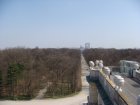 151-DSC05666.JPG.small.jpeg