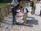 170-DSC05685.JPG.small.jpeg