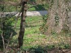 172-DSC05687.JPG.small.jpeg