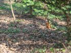173-DSC05688.JPG.small.jpeg