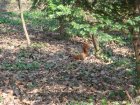 174-DSC05689.JPG.small.jpeg