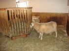 179-DSC05694.JPG.small.jpeg