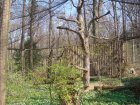 180-DSC05695.JPG.small.jpeg