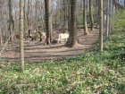 182-DSC05697.JPG.small.jpeg