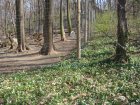 183-DSC05698.JPG.small.jpeg