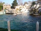 190-DSC05705.JPG.small.jpeg
