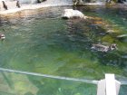 191-DSC05706.JPG.small.jpeg
