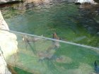 192-DSC05707.JPG.small.jpeg