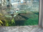 195-DSC05710.JPG.small.jpeg