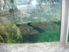 196-DSC05711.JPG.small.jpeg