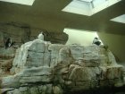 199-DSC05717.JPG.small.jpeg