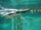 201-DSC05719.JPG.small.jpeg