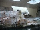 202-DSC05720.JPG.small.jpeg