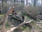 205-DSC05725.JPG.small.jpeg