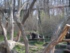 206-DSC05726.JPG.small.jpeg