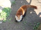 207-DSC05732.JPG.small.jpeg