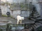 208-DSC05733.JPG.small.jpeg