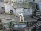 209-DSC05734.JPG.small.jpeg