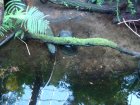 211-DSC05736.JPG.small.jpeg