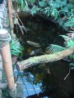 212-DSC05737.JPG.small.jpeg