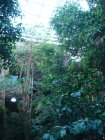 216-DSC05741.JPG.small.jpeg