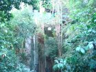 217-DSC05742.JPG.small.jpeg