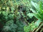 220-DSC05745.JPG.small.jpeg
