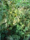 221-DSC05746.JPG.small.jpeg