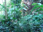 231-DSC05759.JPG.small.jpeg