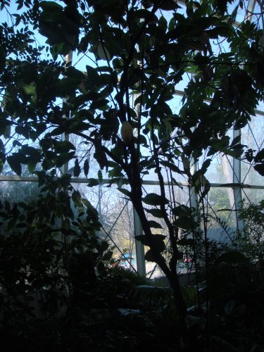 233-DSC05761.JPG.medium.jpeg