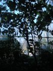 233-DSC05761.JPG.small.jpeg