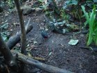 239-DSC05767.JPG.small.jpeg