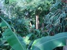 240-DSC05768.JPG.small.jpeg