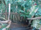 241-DSC05769.JPG.small.jpeg