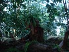 242-DSC05770.JPG.small.jpeg