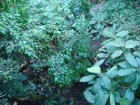 243-DSC05771.JPG.small.jpeg