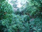 244-DSC05772.JPG.small.jpeg