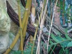 245-DSC05773.JPG.small.jpeg