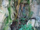 246-DSC05774.JPG.small.jpeg