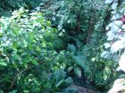 247-DSC05775.JPG.small.jpeg