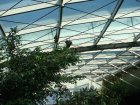 249-DSC05777.JPG.small.jpeg
